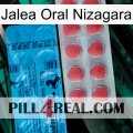 Nizagara Oral Jelly new14